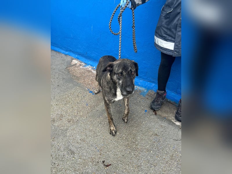 Chanel, wer schenkt ihr Liebe und Geduld?