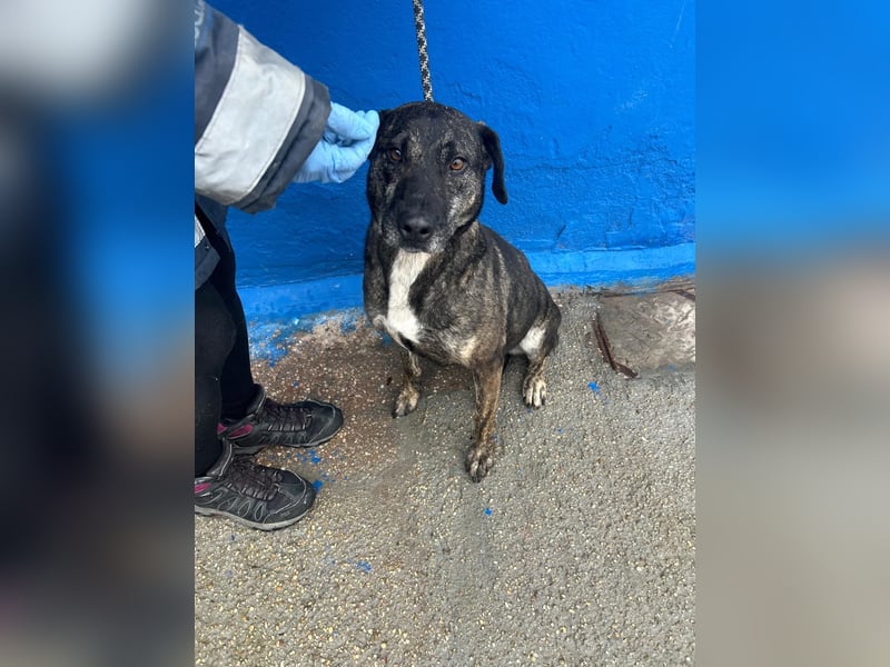 Chanel, wer schenkt ihr Liebe und Geduld?