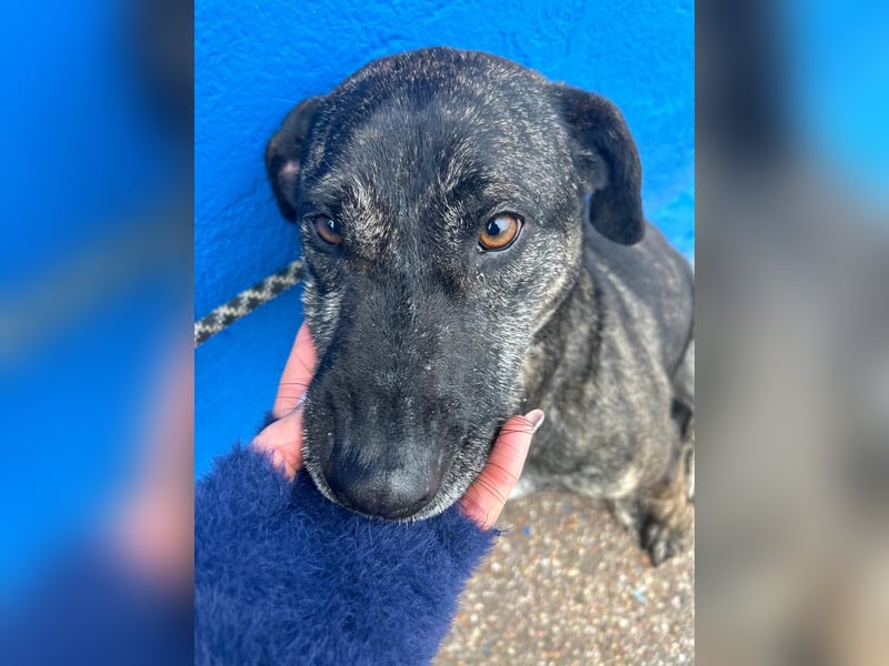 Chanel, wer schenkt ihr Liebe und Geduld?