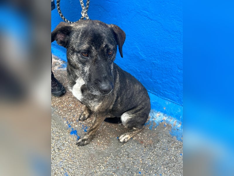 Chanel, wer schenkt ihr Liebe und Geduld?