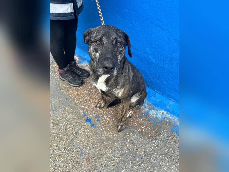 Chanel, wer schenkt ihr Liebe und Geduld?