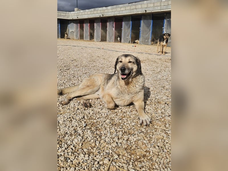 Theo sucht seine Menschen