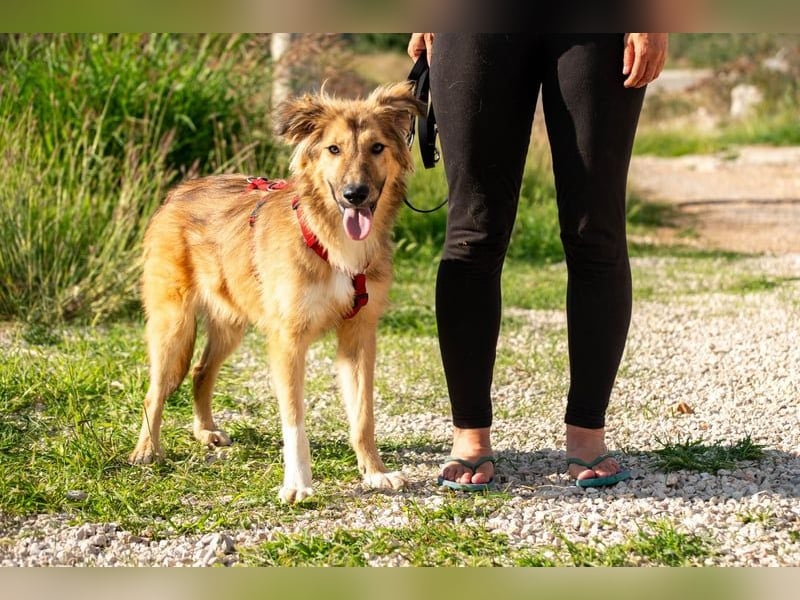 Malvine – kleine Träumerin mit großen Plänen