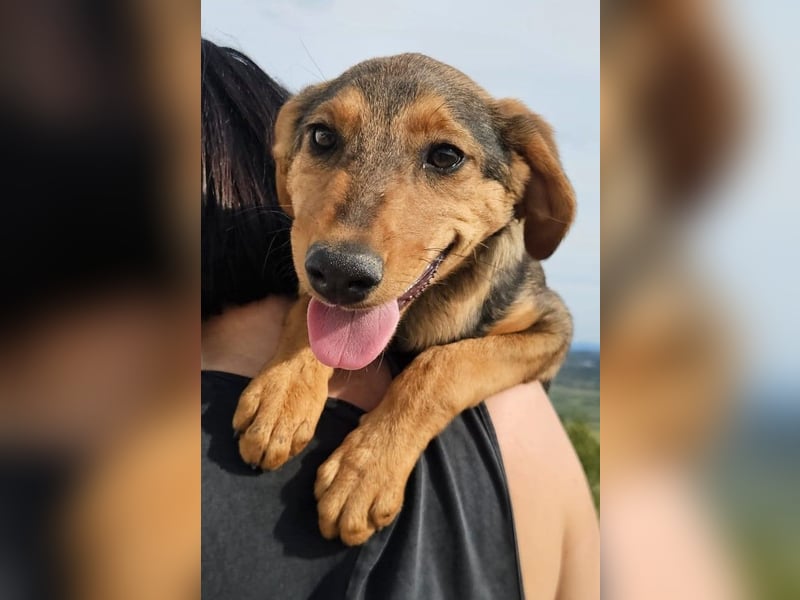 Maggie sucht Menschen mit einem großen Herzen