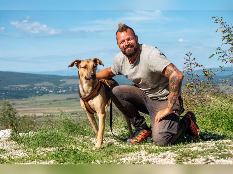 Alessio – sanfter Blick, großes Herz