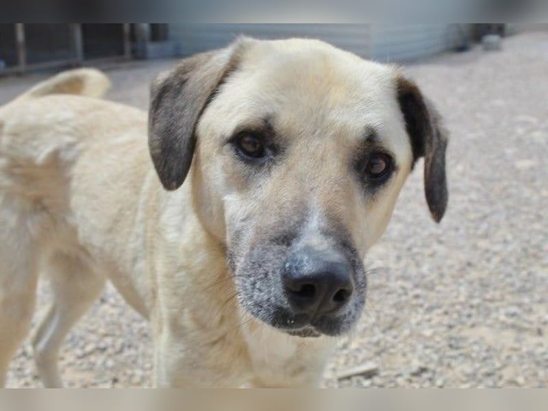 Maverick - Wer gibt ihm die Chance, über sich hinauszuwachsen?