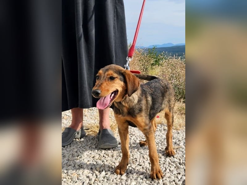 Maggie sucht Menschen mit einem großen Herzen