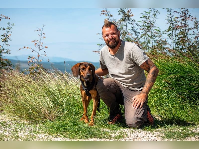 Wirbelwind Mistral sucht aktive Familie