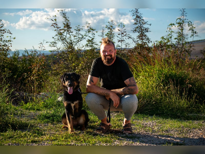 Wundervolle Missy sucht ihr Für-immer-Zuhause