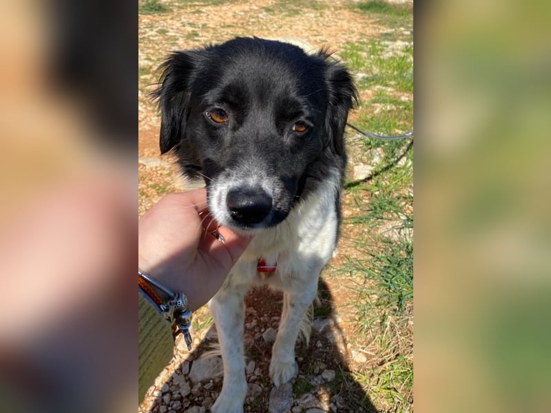 Bella - der Name ist Programm