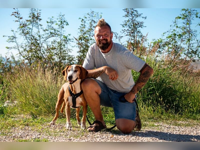 Watson – ein Senior auf der Suche nach Ruhe und Liebe