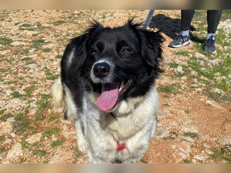 Bella - der Name ist Programm