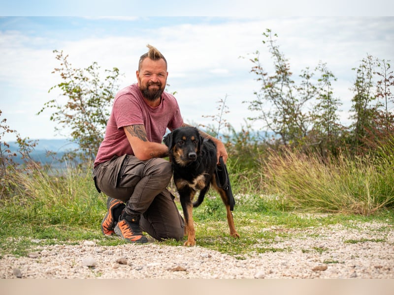 Wundervolle Missy sucht ihr Für-immer-Zuhause