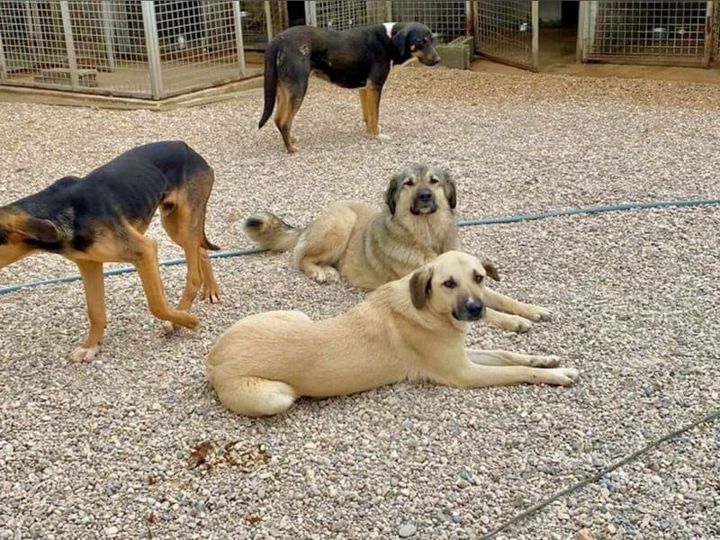 Maverick - Wer gibt ihm die Chance, über sich hinauszuwachsen?