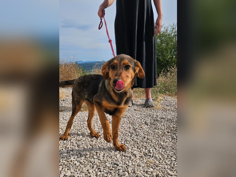 Maggie sucht Menschen mit einem großen Herzen