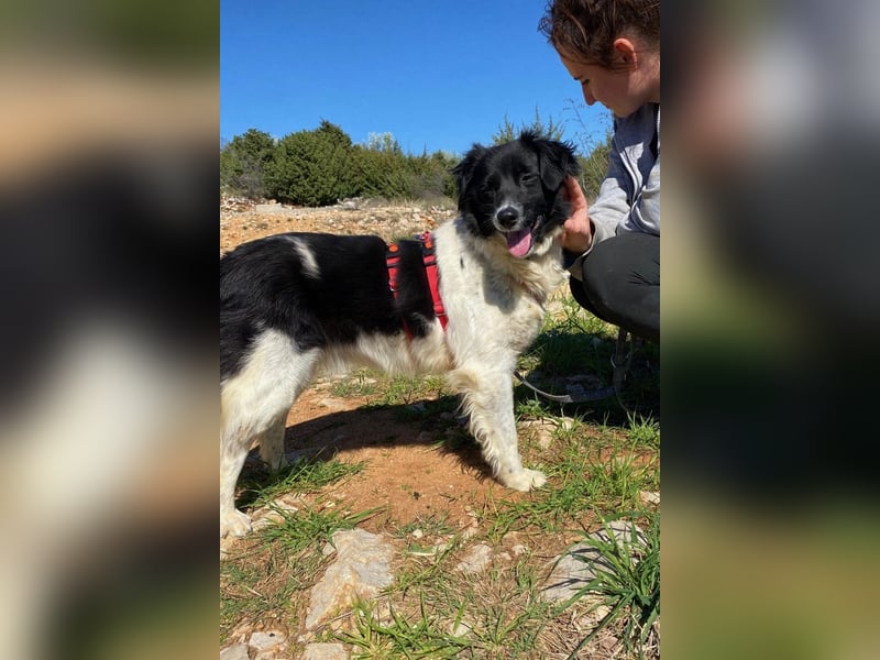 Bella - der Name ist Programm