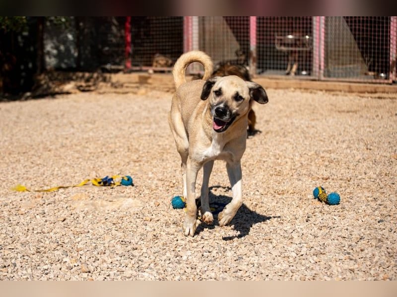 Maverick - Wer gibt ihm die Chance, über sich hinauszuwachsen?