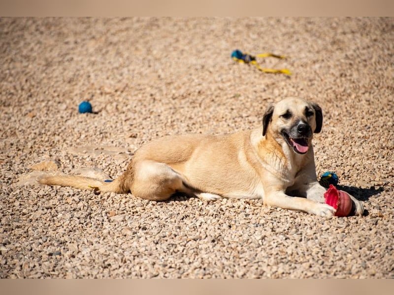 Maverick - Wer gibt ihm die Chance, über sich hinauszuwachsen?