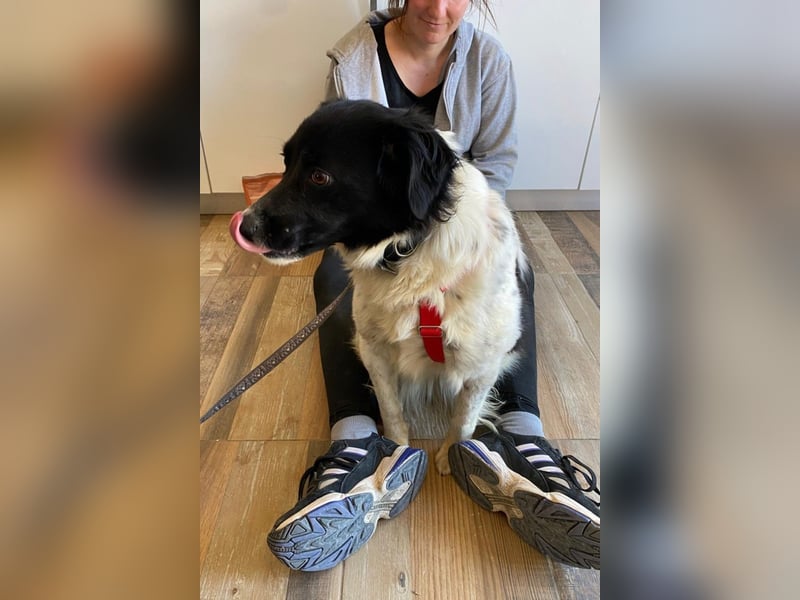 Bella - der Name ist Programm