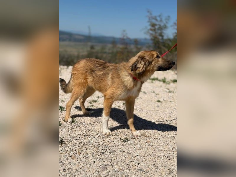 Malvine – kleine Träumerin mit großen Plänen