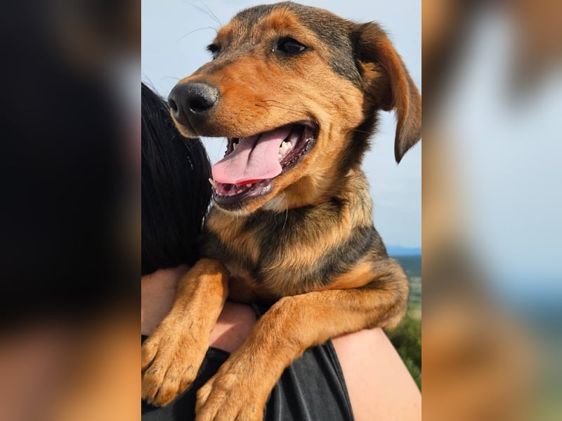 Maggie sucht Menschen mit einem großen Herzen