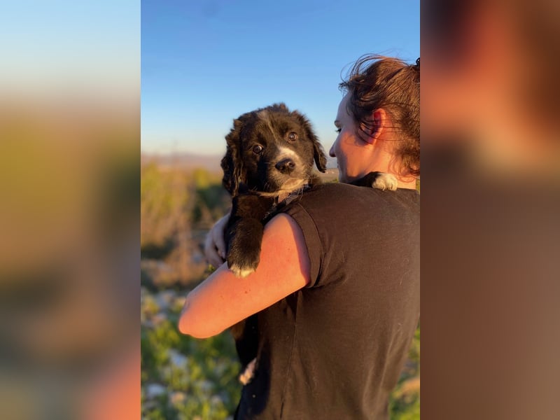 Arti wünscht sich ein Zuhause