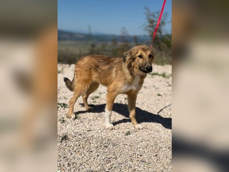 Malvine – kleine Träumerin mit großen Plänen