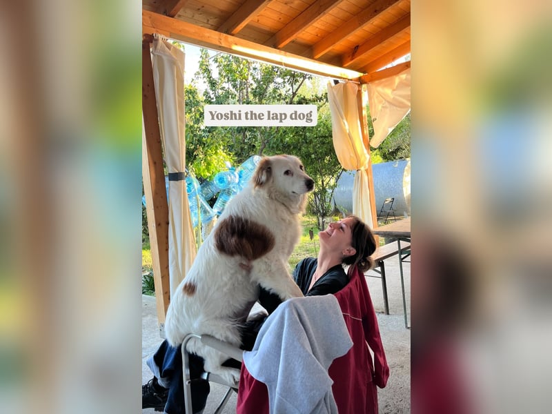 Yoshi (9) sucht einen ruhigen Platz