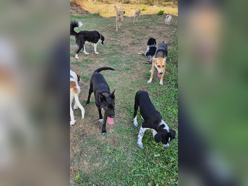 Lila (2) wünscht sich eine Familie