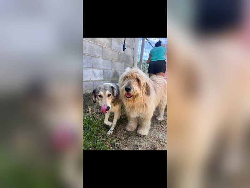 Alfonzo (3) sucht seine Familie