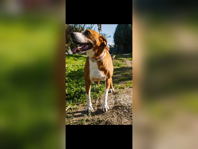 Fanja (8) unsere Kämpferin mit Herz