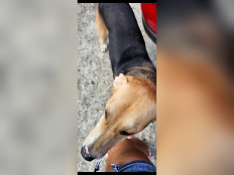Lila (2) wünscht sich eine Familie