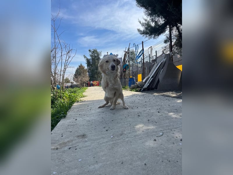 Biggi (2) unser dreibeiniger Sonnenschein