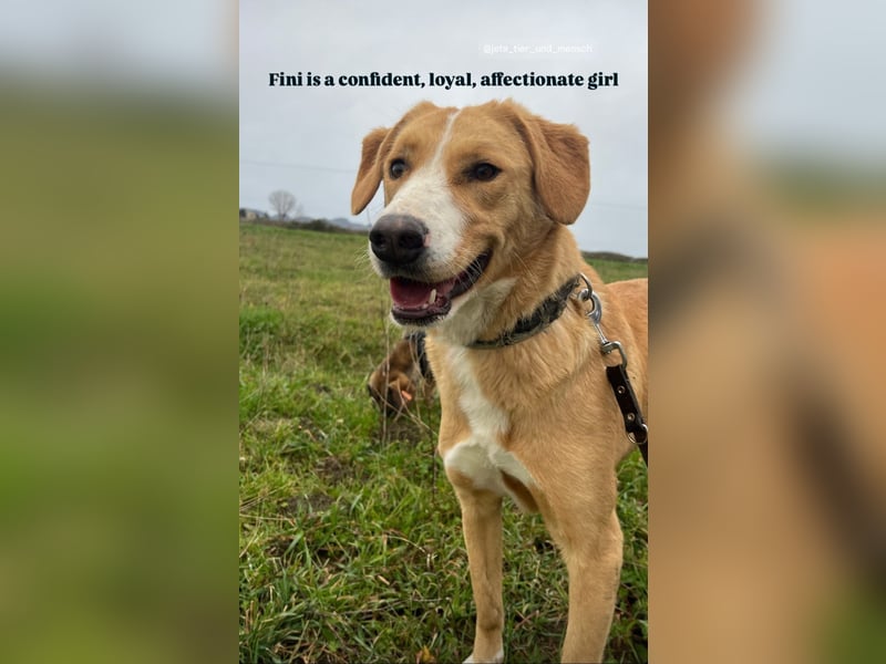 Finy (3) freut sich auf eine liebevolle Familie