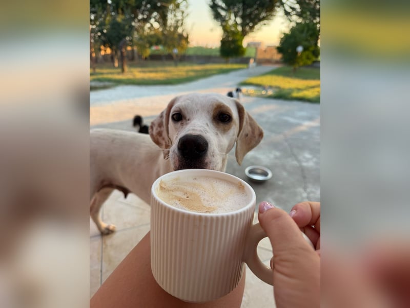 Murphy (3) sucht Ihr Happy End
