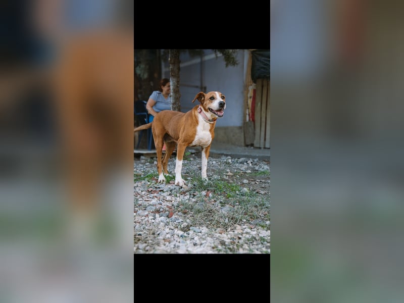 Fanja (8) unsere Kämpferin mit Herz