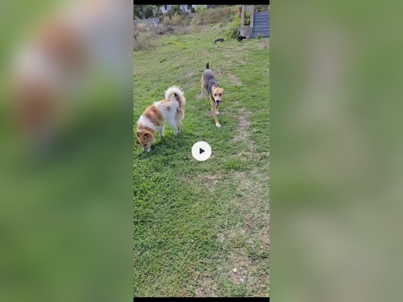 Lila (2) wünscht sich eine Familie