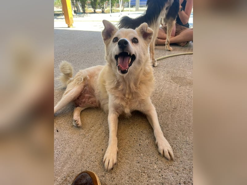 Josie (8) sucht einen Platz zum Entspannen