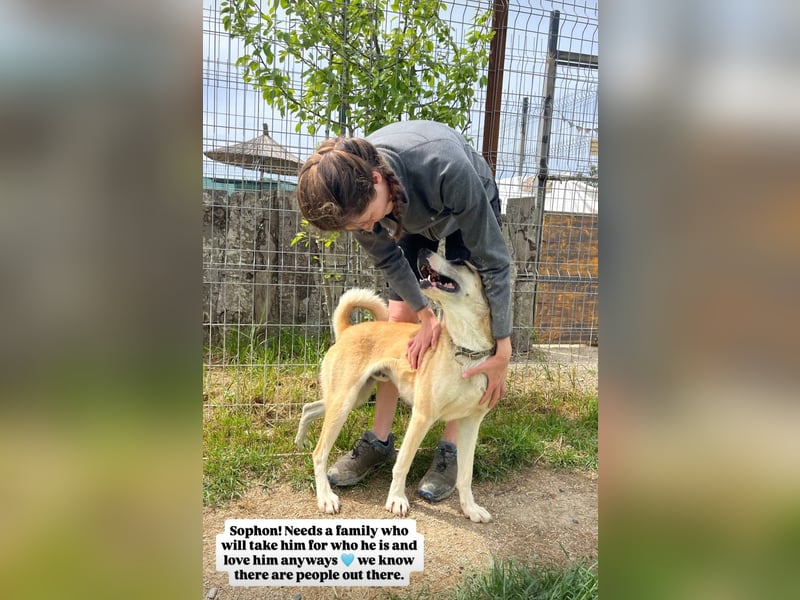Sophon (4) sucht seine Menschen