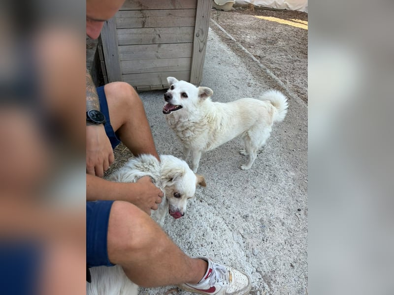 Josie (8) sucht einen Platz zum Entspannen