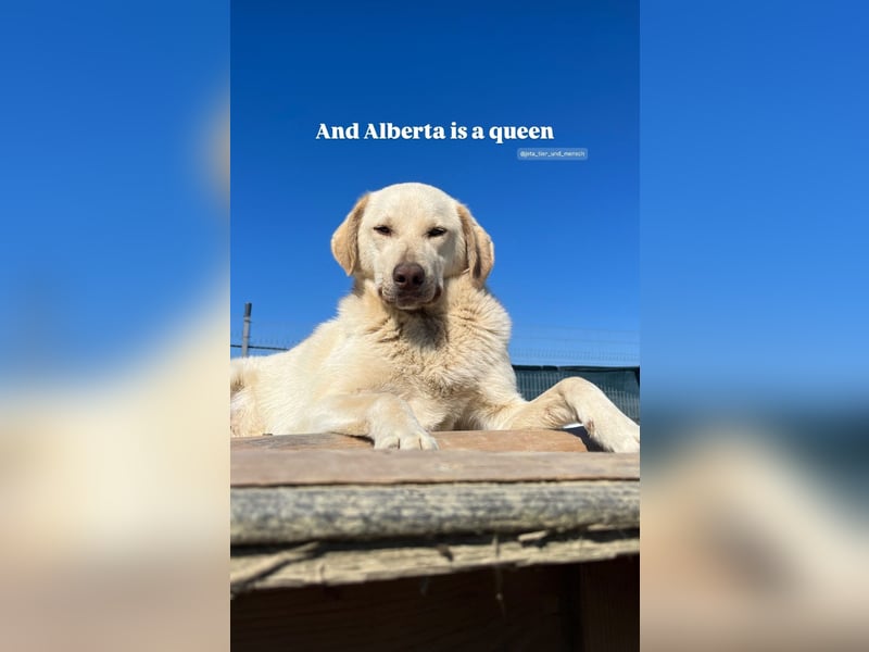 Alberta (3) wartet auf Dich