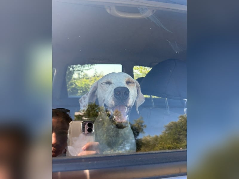 Murphy (3) sucht Ihr Happy End