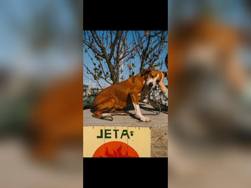 Fanja (8) unsere Kämpferin mit Herz