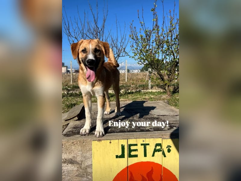 Fiona ist jung, gesund und bereit für die Welt