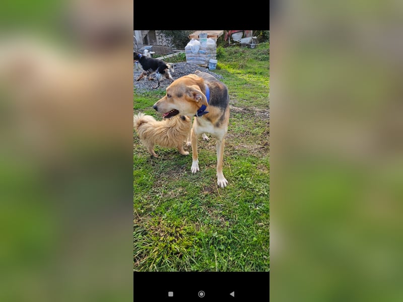 Lila (2) wünscht sich eine Familie