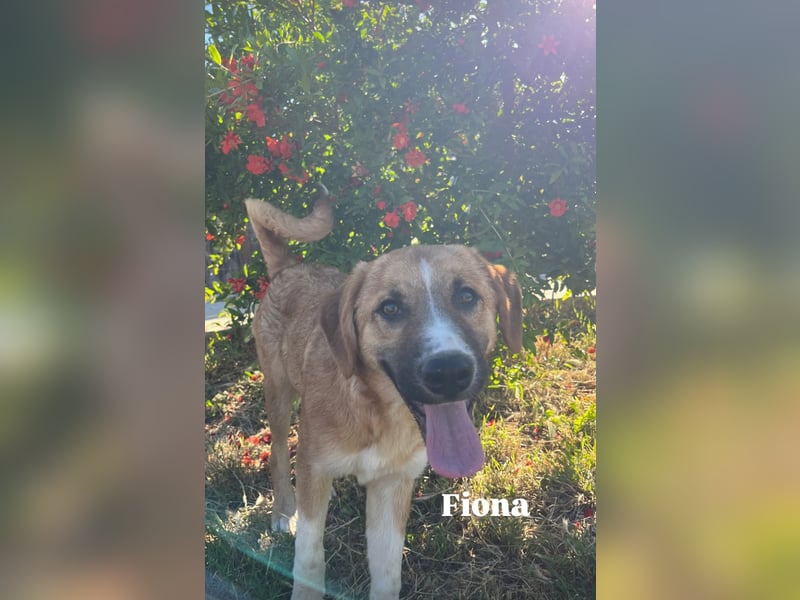 Fiona ist jung, gesund und bereit für die Welt