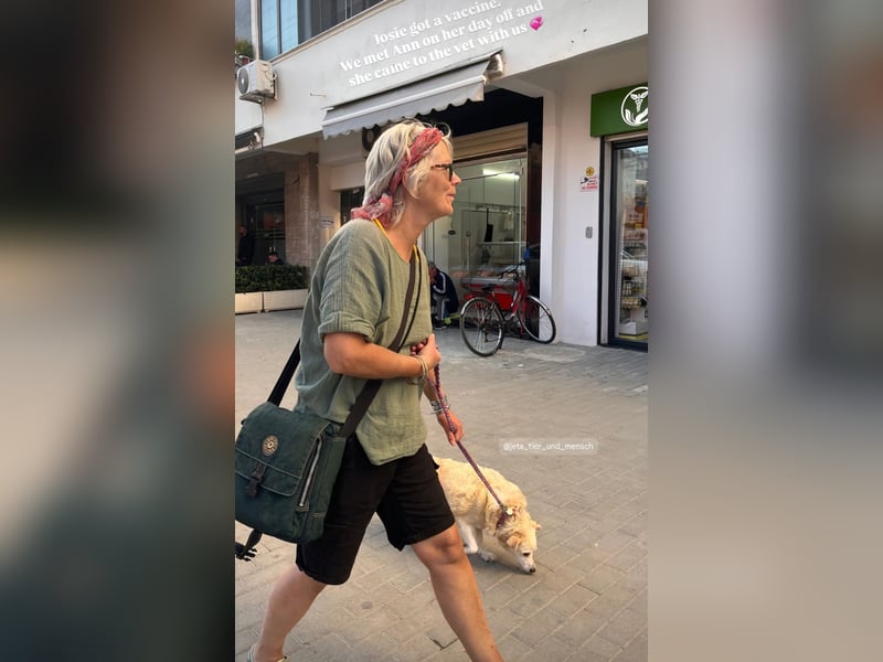 Josie (8) sucht einen Platz zum Entspannen