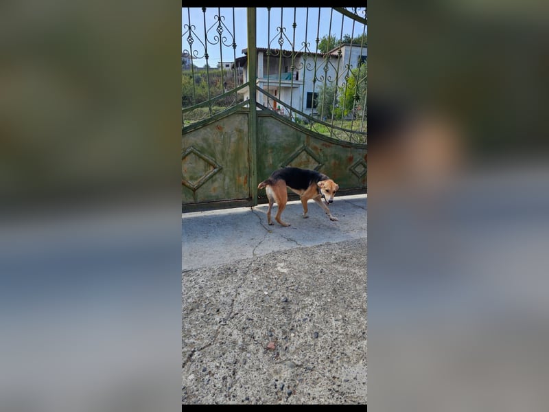 Lila (2) wünscht sich eine Familie