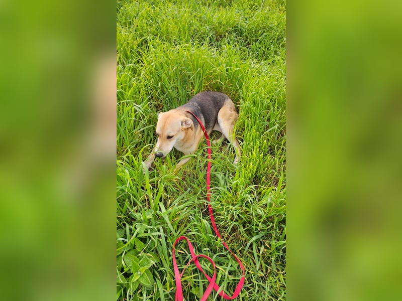 Lila (2) wünscht sich eine Familie