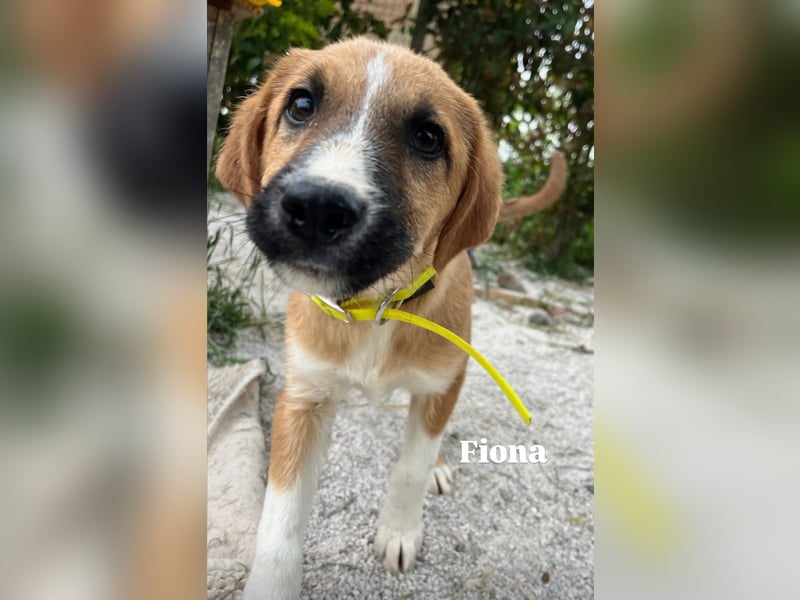 Fiona ist jung, gesund und bereit für die Welt